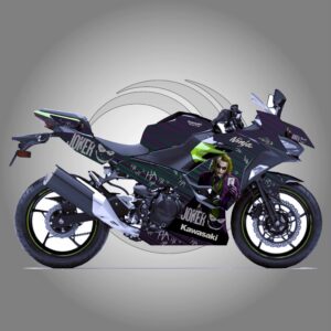 Ninja 400 Joker